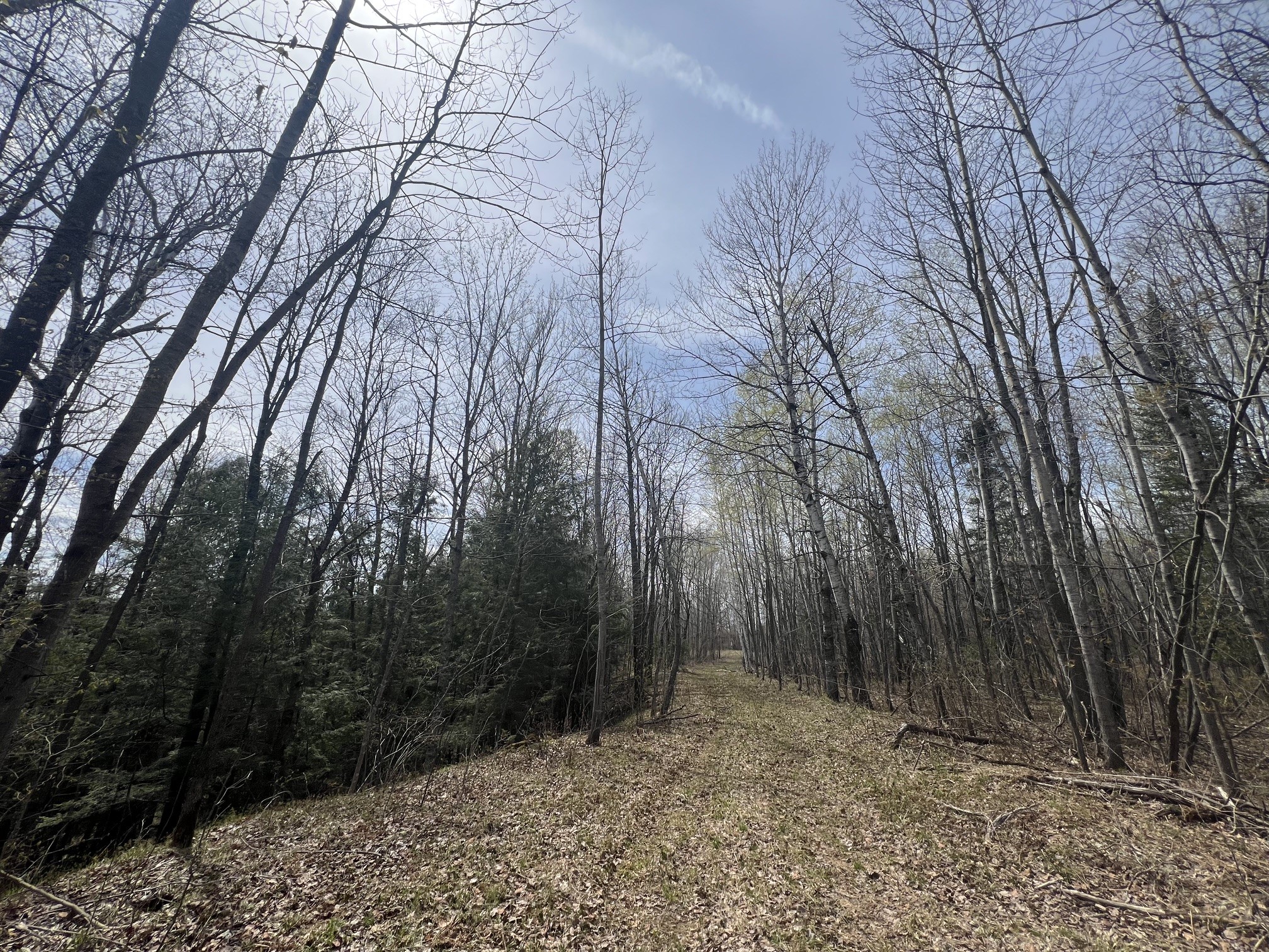 TBD Golf Course Road High Bridge WI 54846 - Krause Creek 1598668 image8