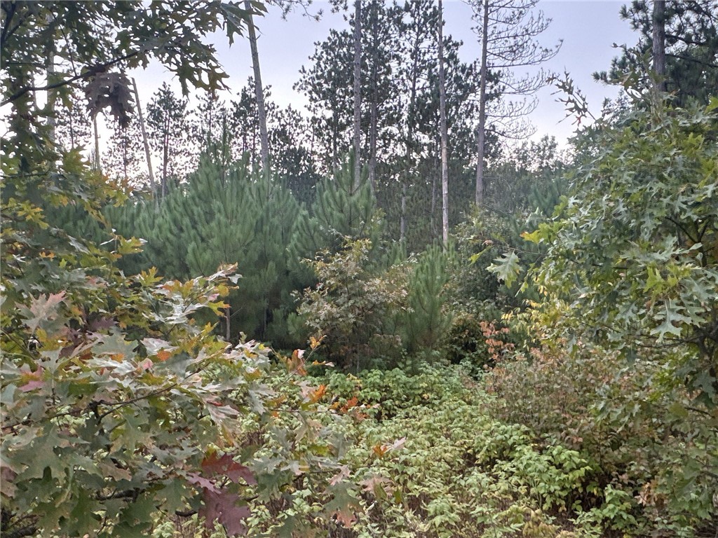 TBD Hayden Lake Road Danbury WI 54830 1595711 image1