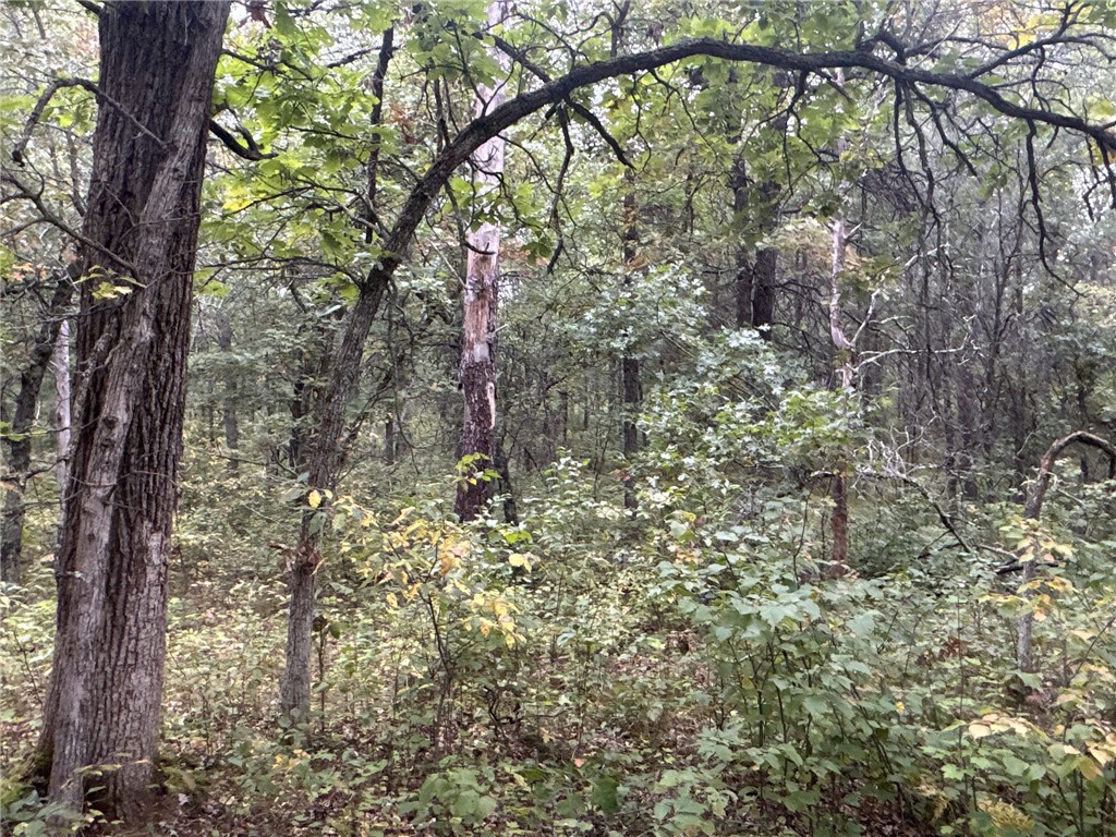 TBD Hayden Lake Road Danbury WI 54830 1595711 image12