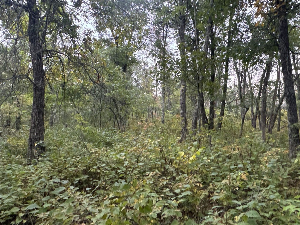 TBD Hayden Lake Road Danbury WI 54830 1595711 image13