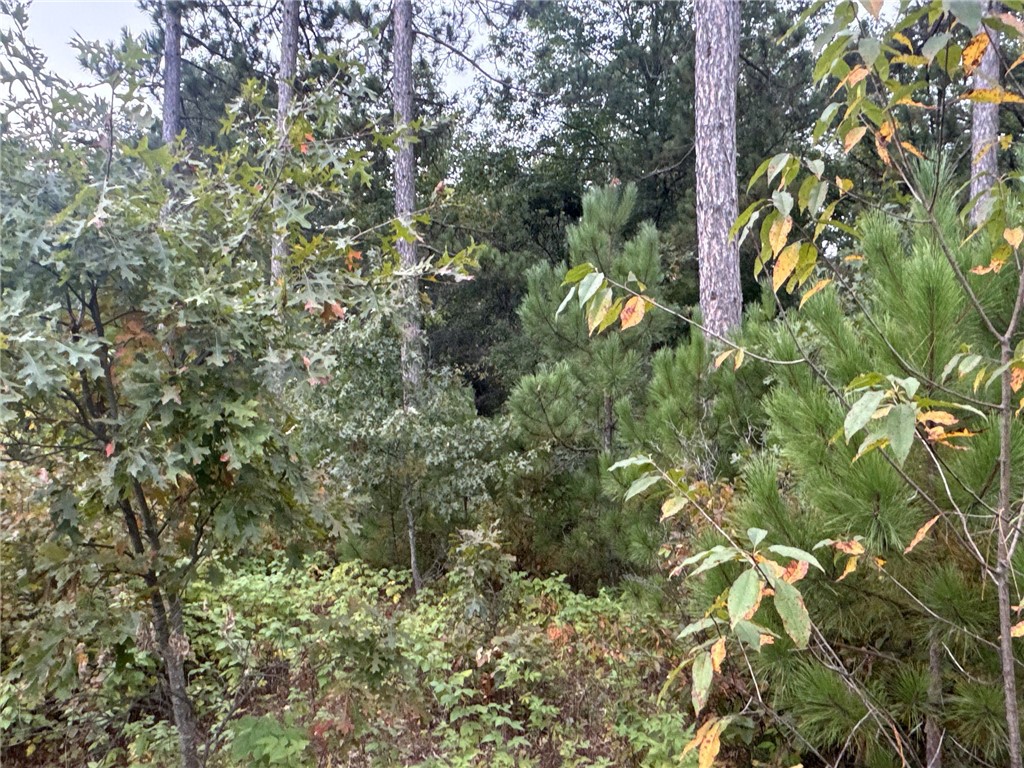 TBD Hayden Lake Road Danbury WI 54830 1595711 image3