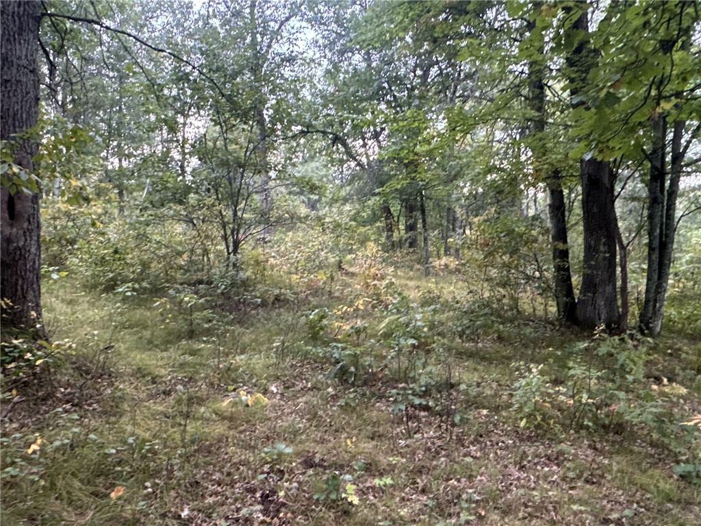 TBD Hayden Lake Road Danbury WI 54830 1595711 image6