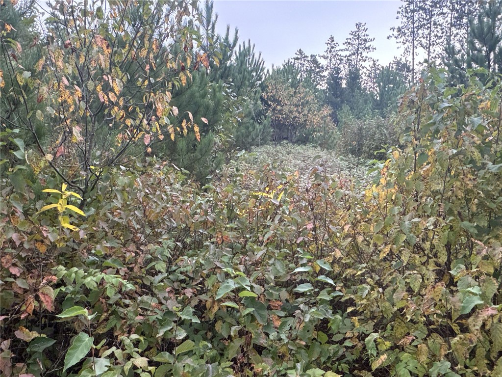 TBD Hayden Lake Road Danbury WI 54830 1595711 image8