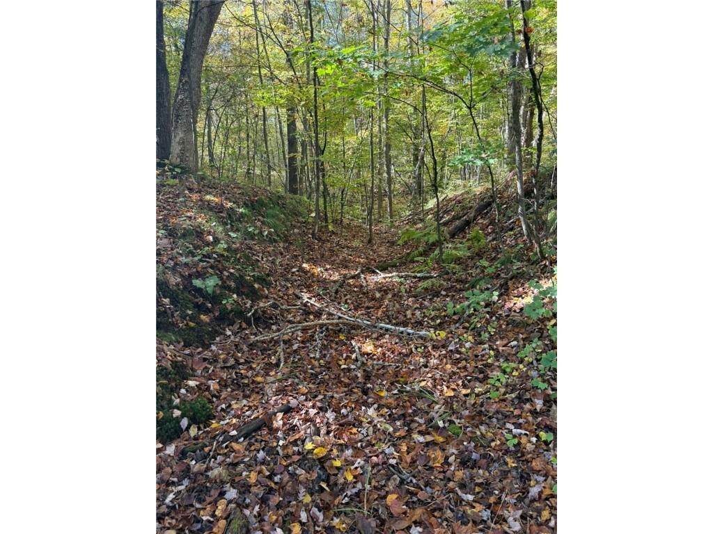 TBD Highway 8 Turtle Lake WI 54889 1588285 image1