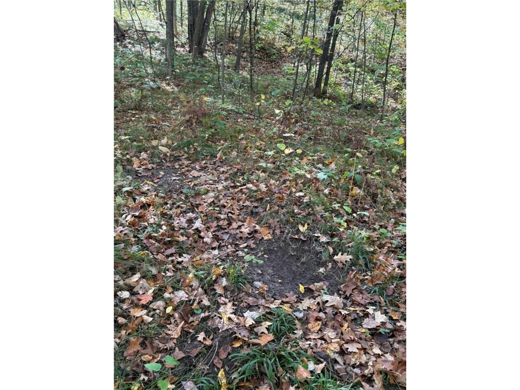 TBD Highway 8 Turtle Lake WI 54889 1588285 image10