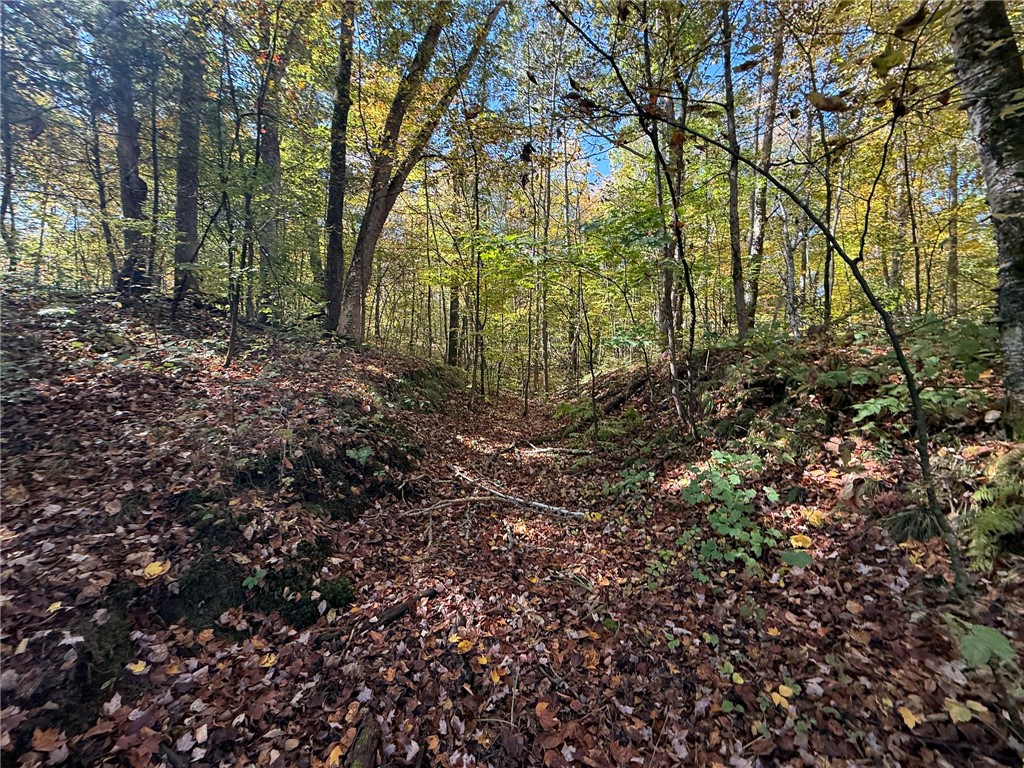 TBD Highway 8 Turtle Lake WI 54889 1588285 image12