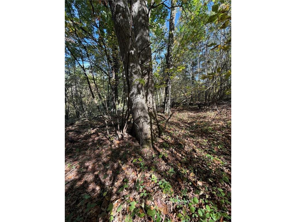 TBD Highway 8 Turtle Lake WI 54889 1588285 image14