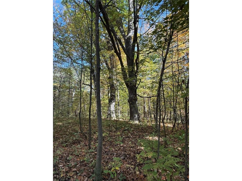 TBD Highway 8 Turtle Lake WI 54889 1588285 image15