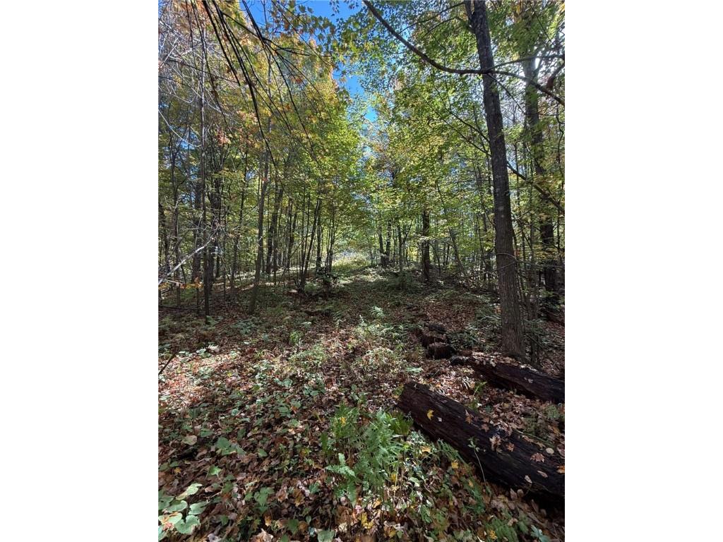 TBD Highway 8 Turtle Lake WI 54889 1588285 image16