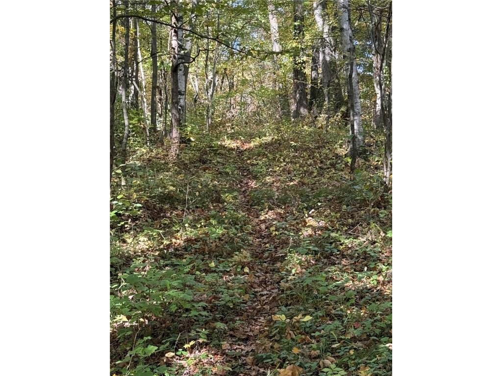 TBD Highway 8 Turtle Lake WI 54889 1588285 image18