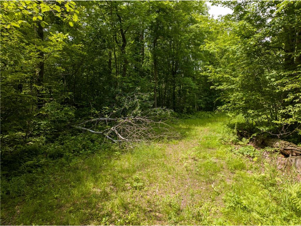 TBD Highway 8 Turtle Lake WI 54889 1588285 image19