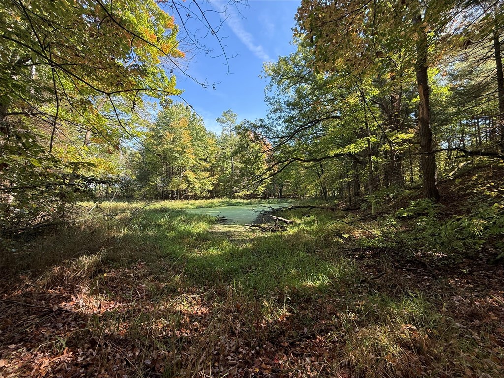 TBD Highway 8 Turtle Lake WI 54889 1588285 image3