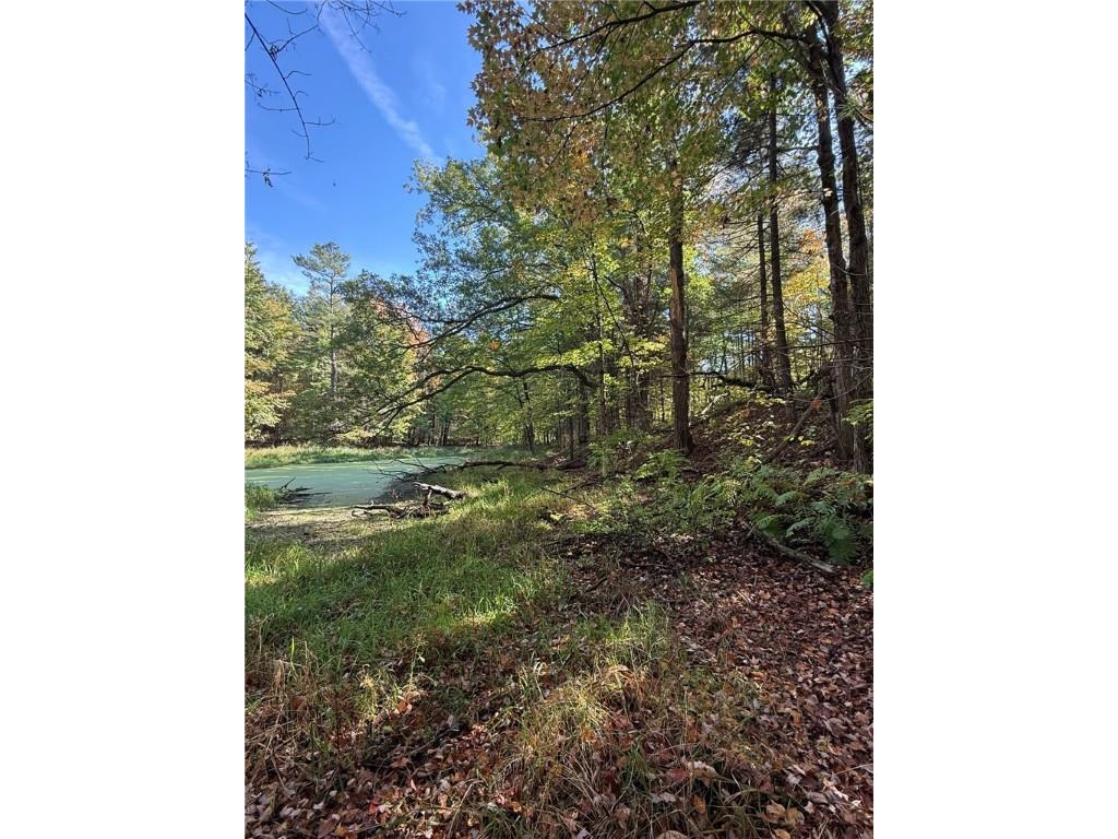 TBD Highway 8 Turtle Lake WI 54889 1588285 image30