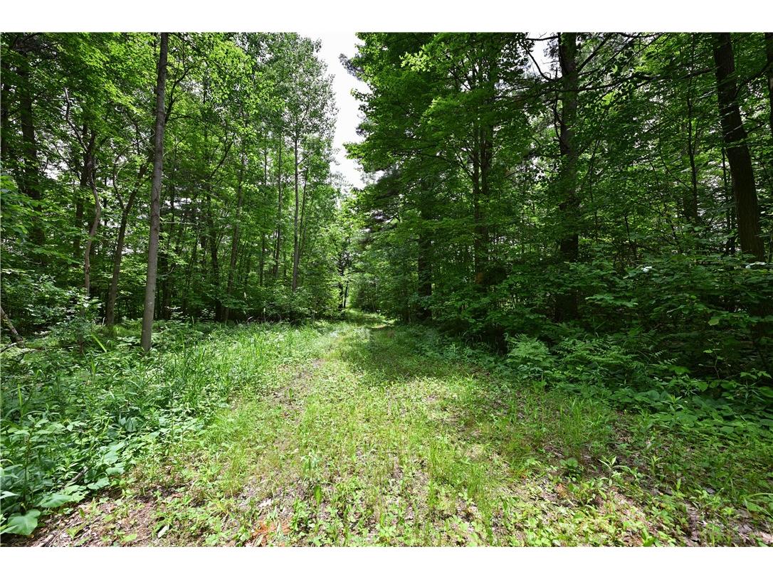 TBD Highway 8 Turtle Lake WI 54889 1588285 image34