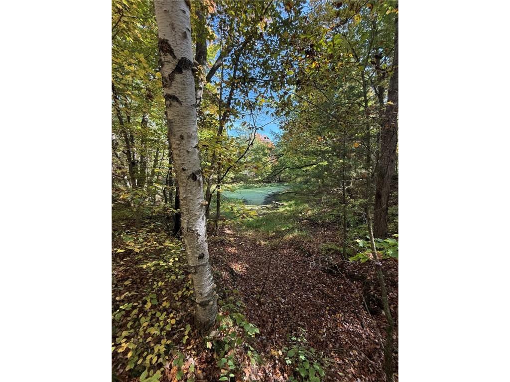 TBD Highway 8 Turtle Lake WI 54889 1588285 image35