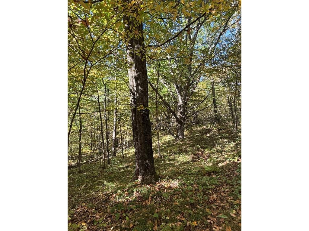 TBD Highway 8 Turtle Lake WI 54889 1588285 image37