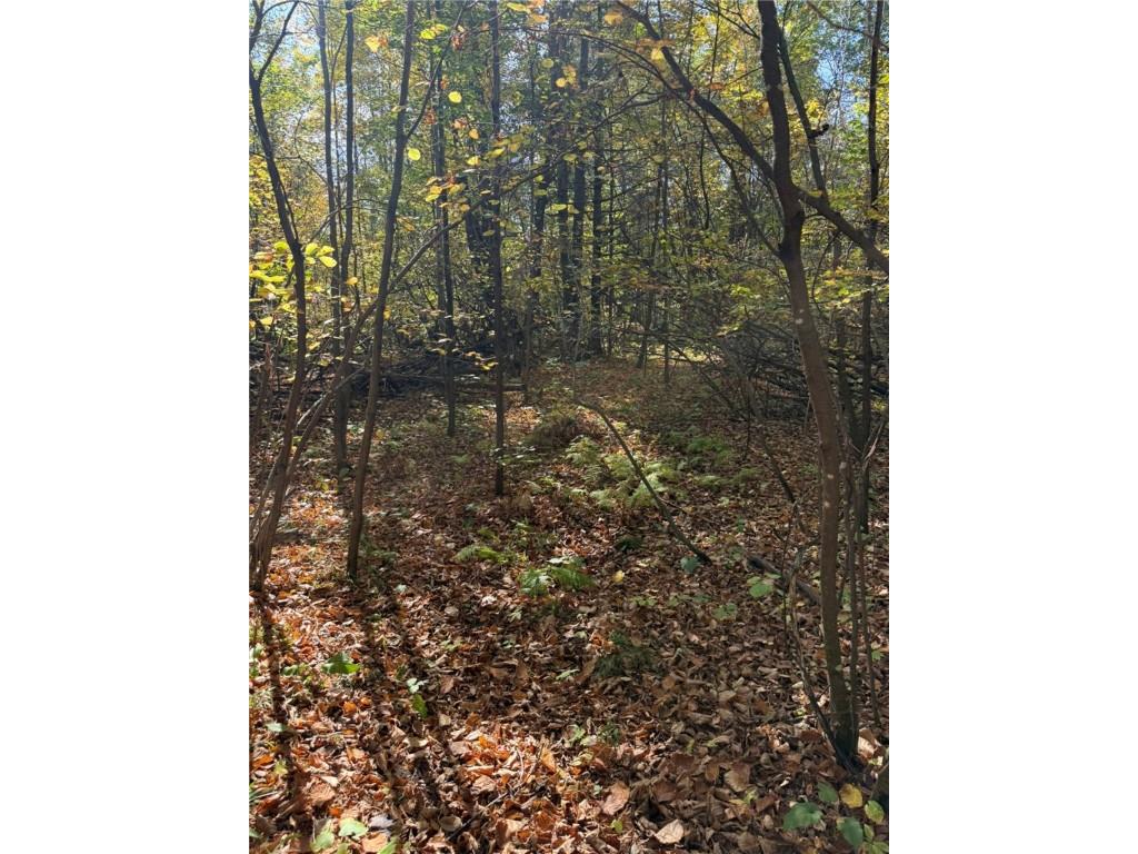 TBD Highway 8 Turtle Lake WI 54889 1588285 image39