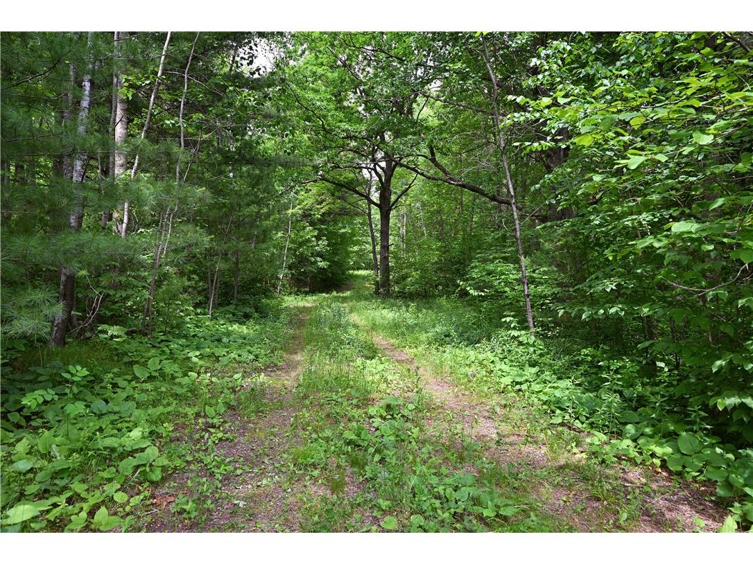 TBD Highway 8 Turtle Lake WI 54889 1588285 image40