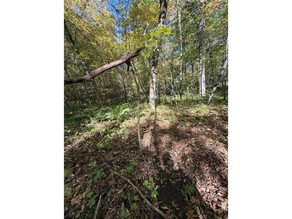 TBD Highway 8 Turtle Lake WI 54889 1588285 image42