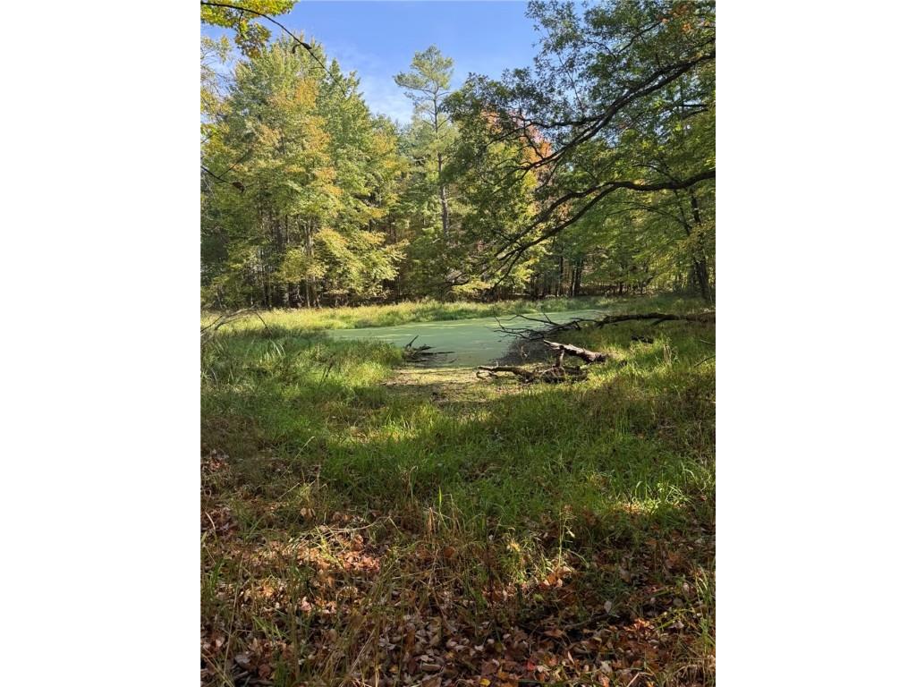 TBD Highway 8 Turtle Lake WI 54889 1588285 image44