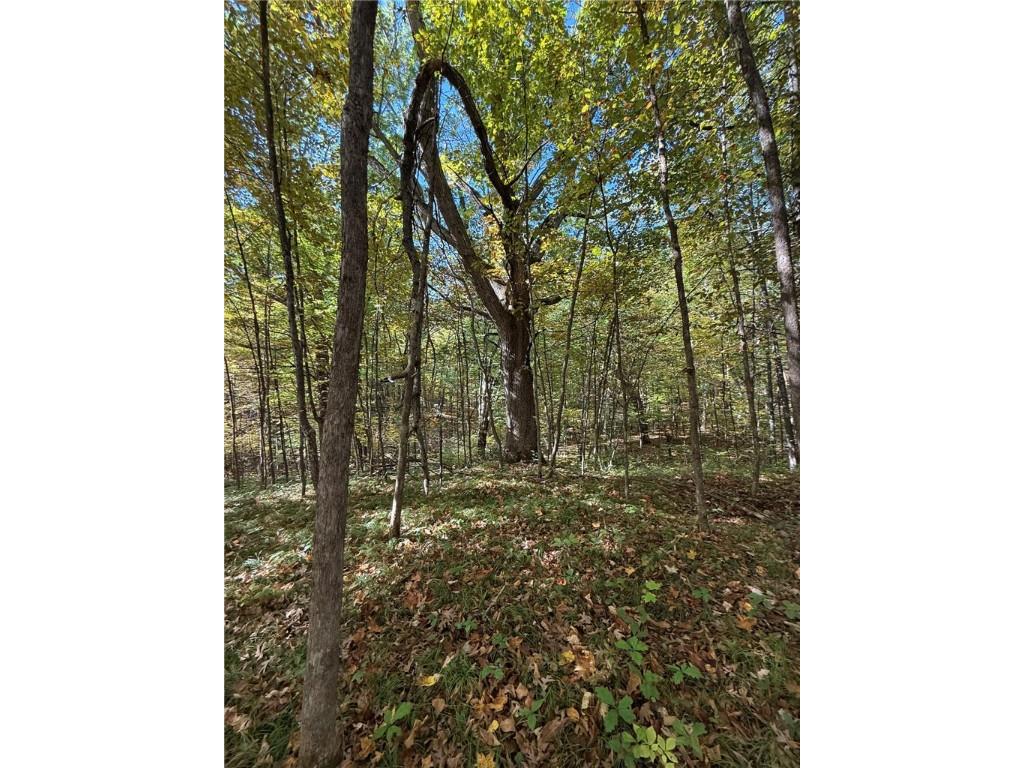 TBD Highway 8 Turtle Lake WI 54889 1588285 image46