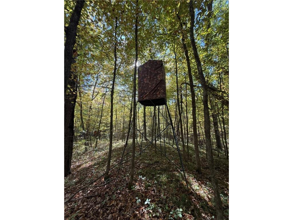 TBD Highway 8 Turtle Lake WI 54889 1588285 image5