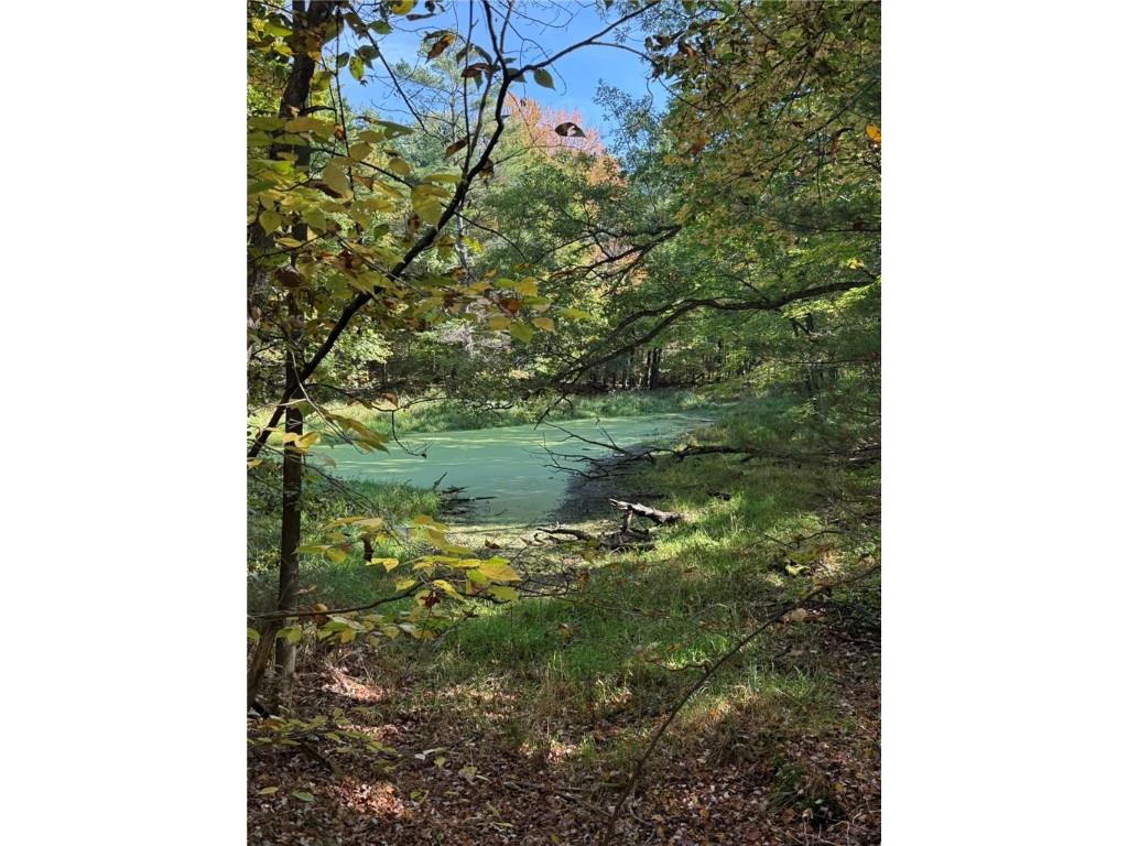 TBD Highway 8 Turtle Lake WI 54889 1588285 image8