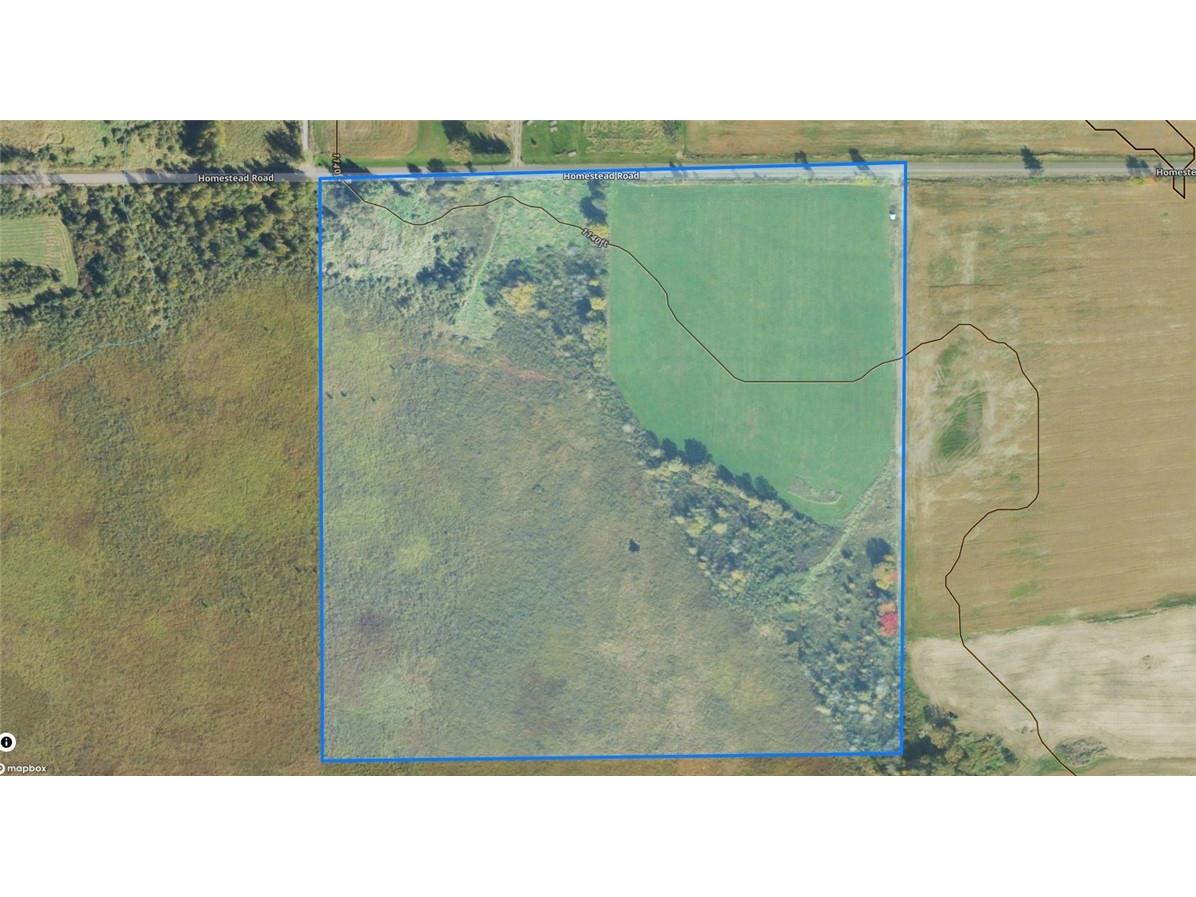 TBD Homestead Road Conrath WI 54731 1597499 image6
