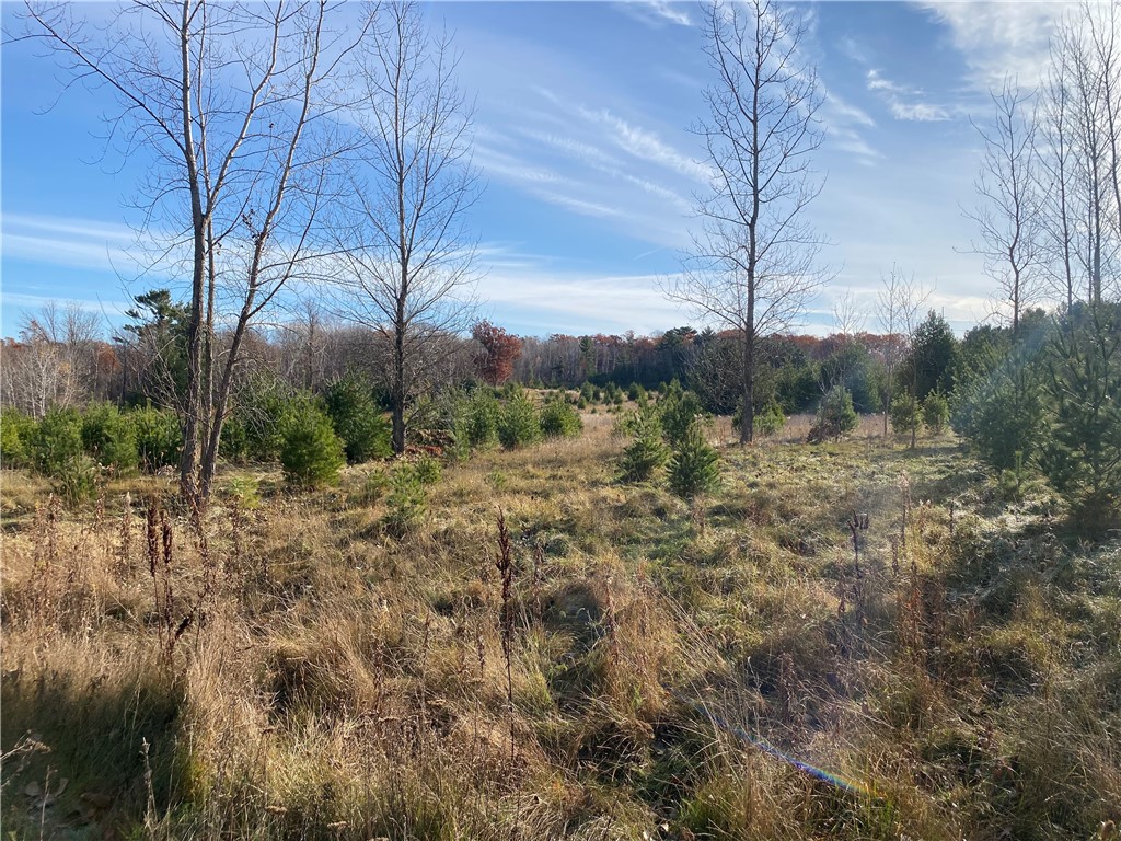TBD Hwy 8/ 15th Street Turtle Lake WI 54889 1587500 image1