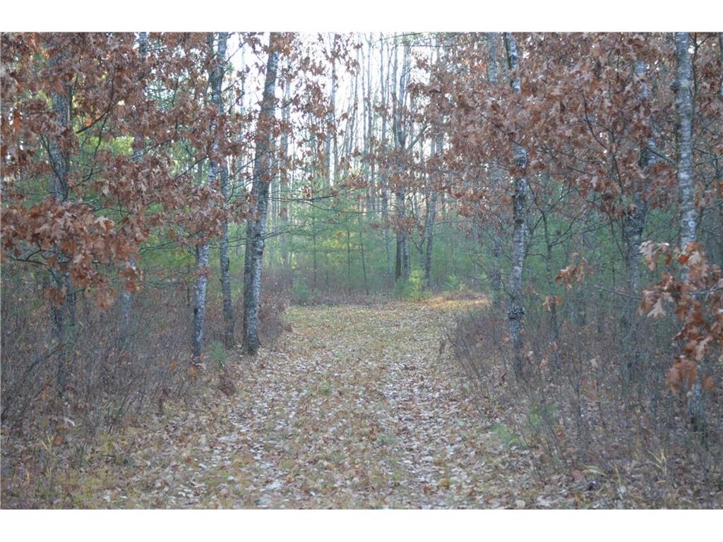 TBD Lincoln Lake Rd. Trego WI 54888 1559856 image1
