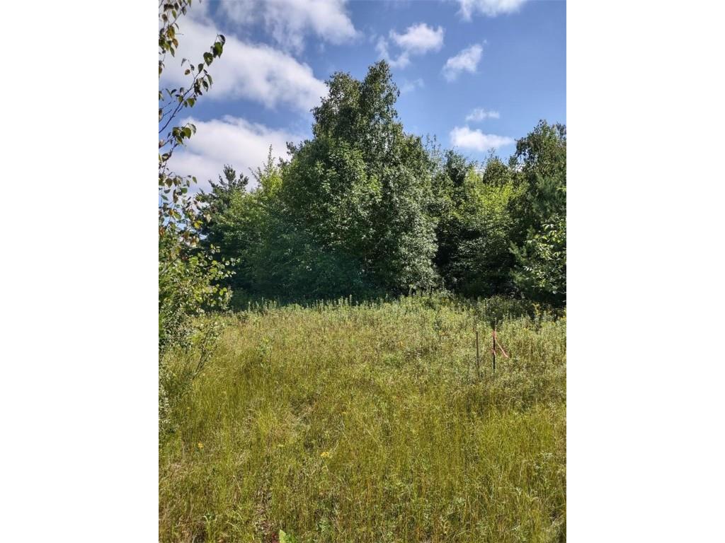 TBD Lot 7 10 1/4 Avenue Chetek WI 54728 1595118 image10