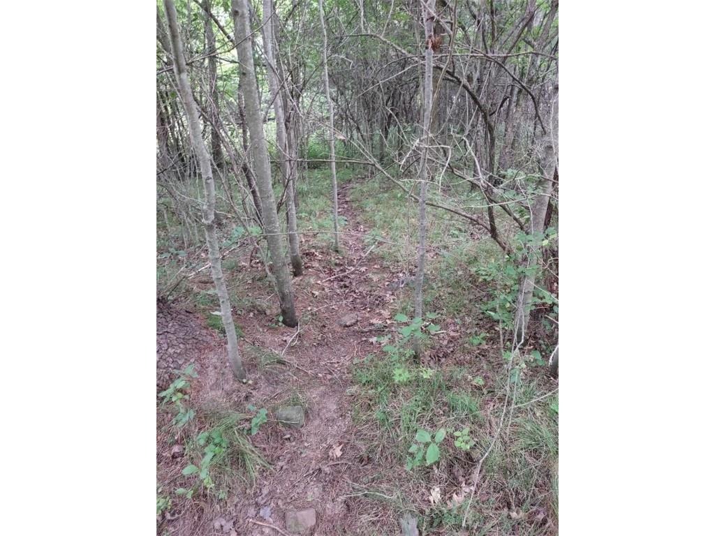TBD Lot 7 10 1/4 Avenue Chetek WI 54728 1595118 image11