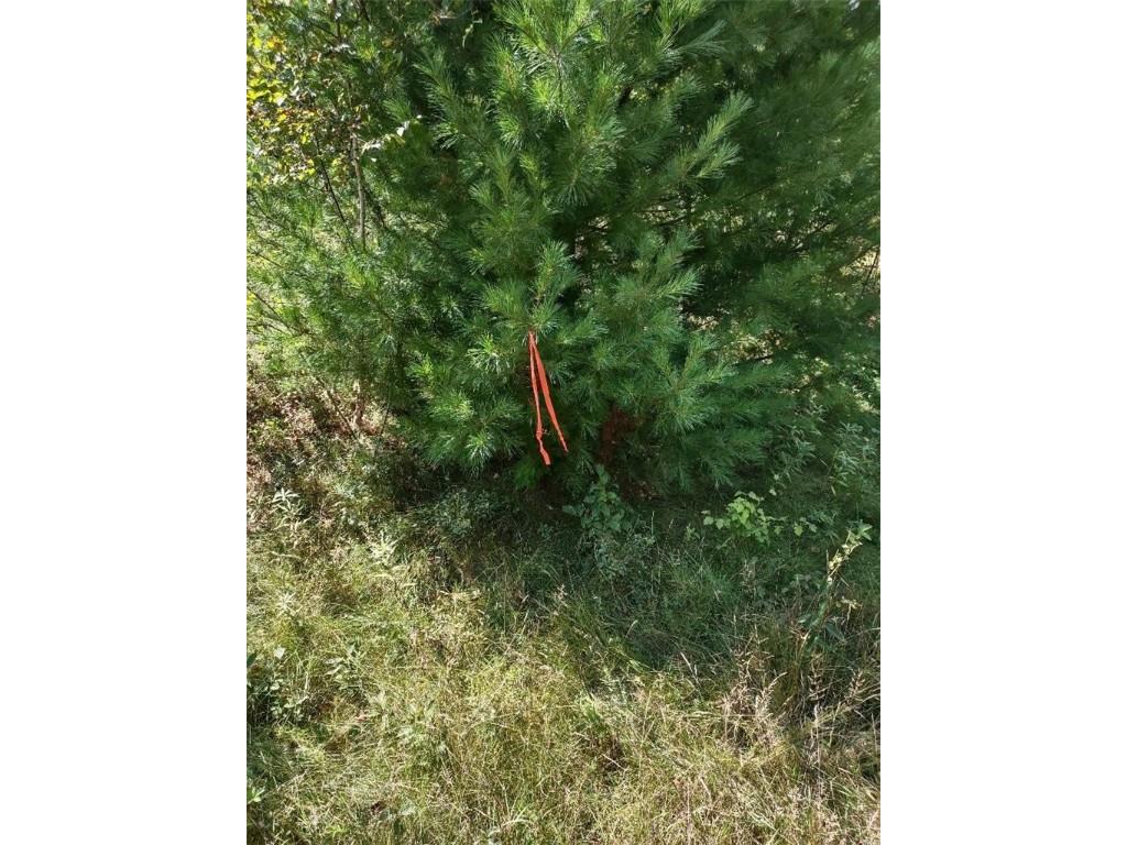 TBD Lot 7 10 1/4 Avenue Chetek WI 54728 1595118 image4