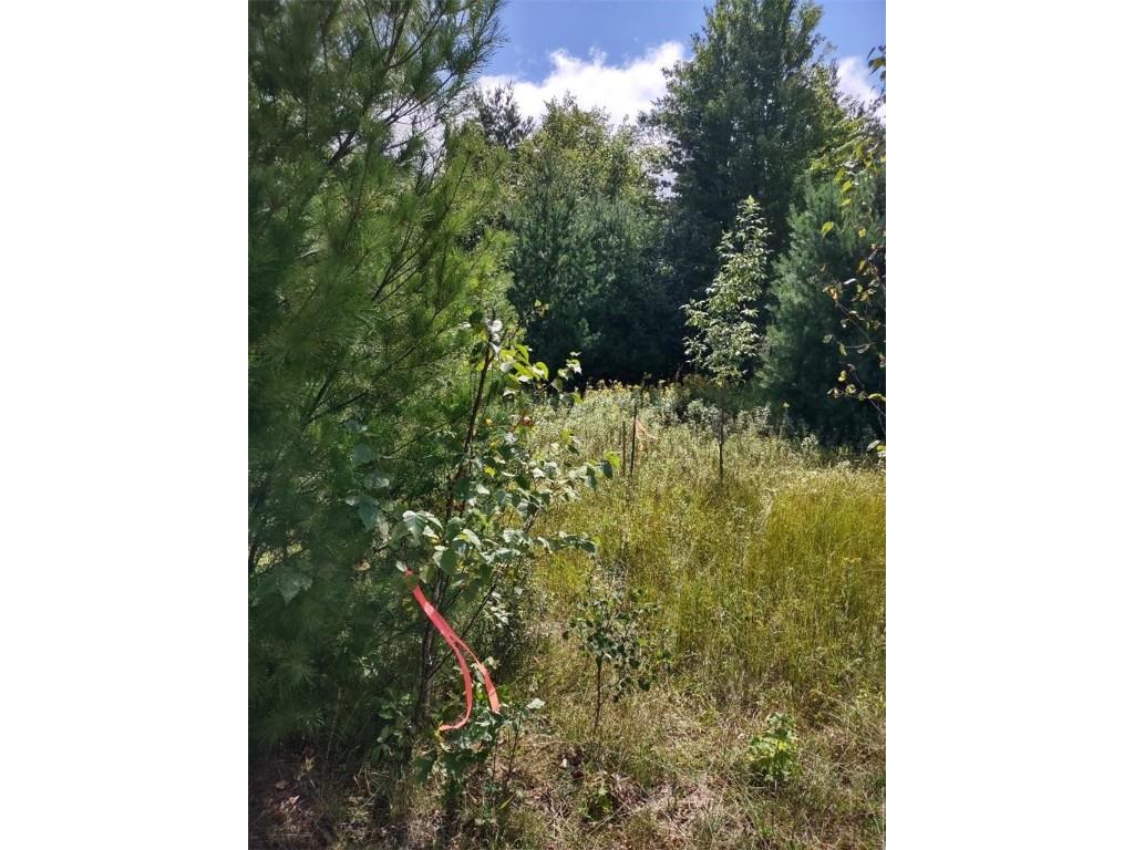 TBD Lot 7 10 1/4 Avenue Chetek WI 54728 1595118 image5