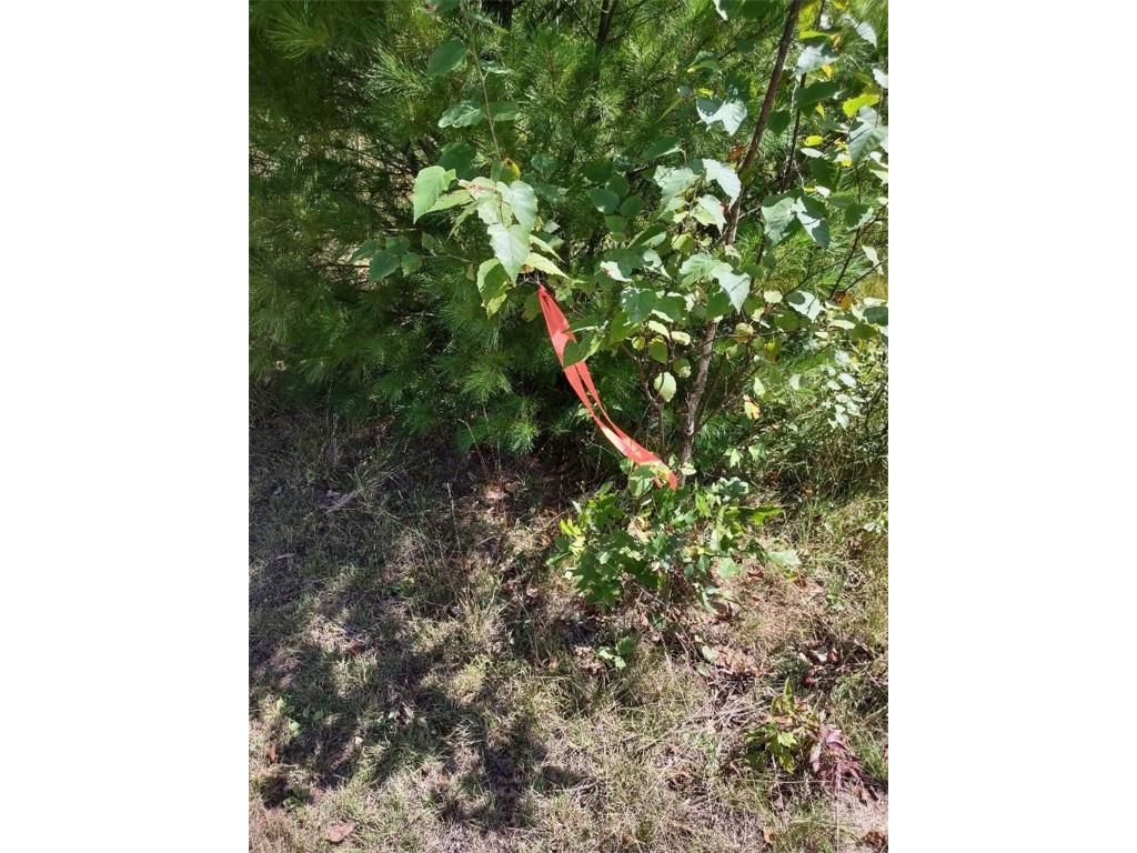 TBD Lot 7 10 1/4 Avenue Chetek WI 54728 1595118 image6