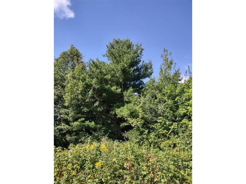 TBD Lot 7 10 1/4 Avenue Chetek WI 54728 1595118 image7
