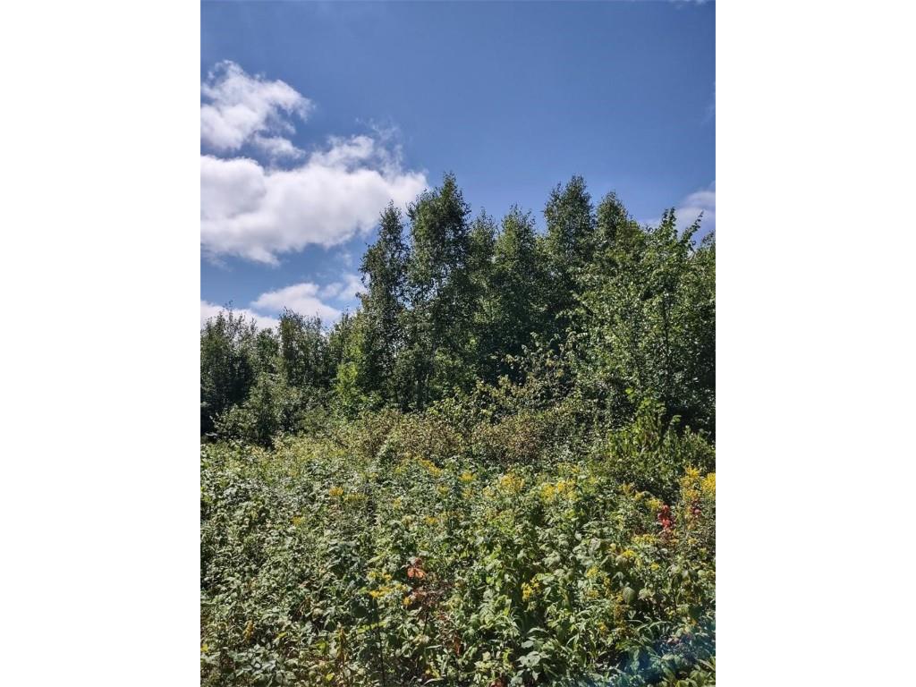 TBD Lot 7 10 1/4 Avenue Chetek WI 54728 1595118 image8