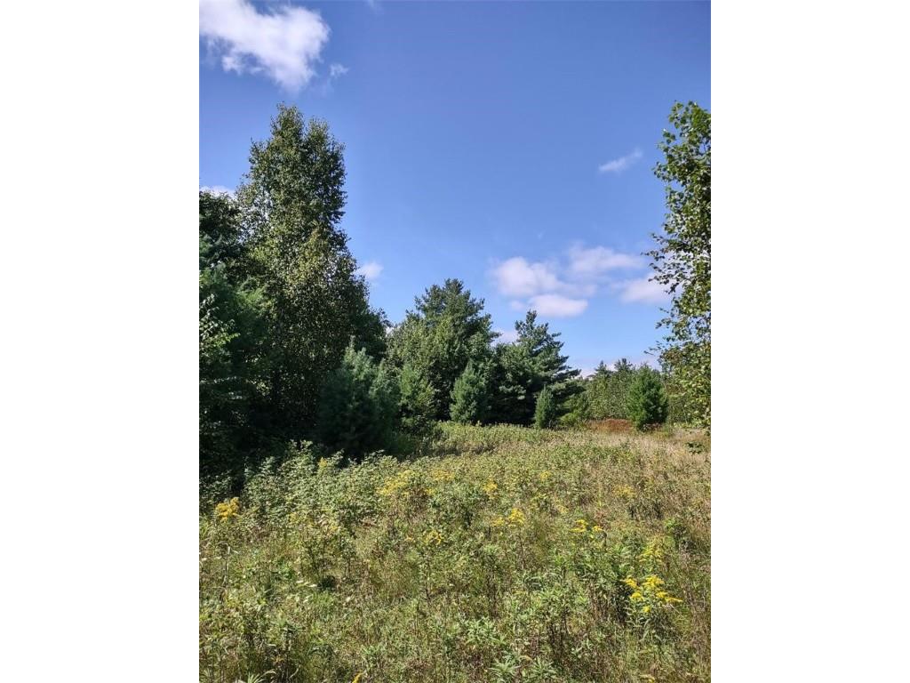 TBD Lot 7 10 1/4 Avenue Chetek WI 54728 1595118 image9
