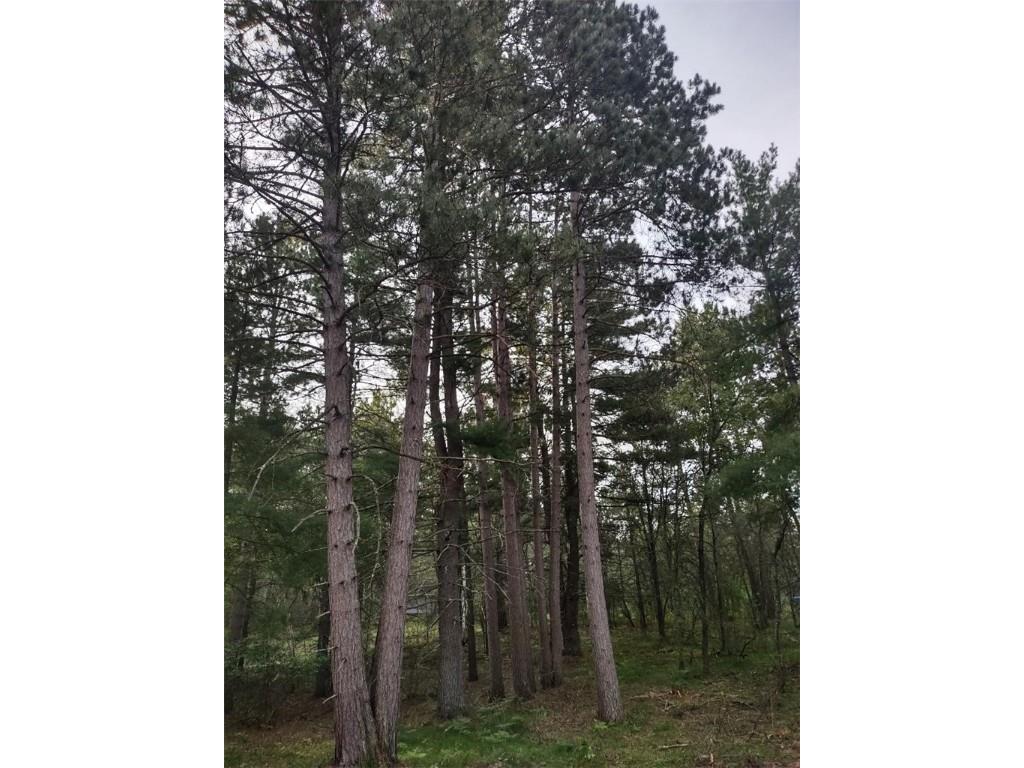 TBD Lynx Road Barnes WI 54837 1596193 image1