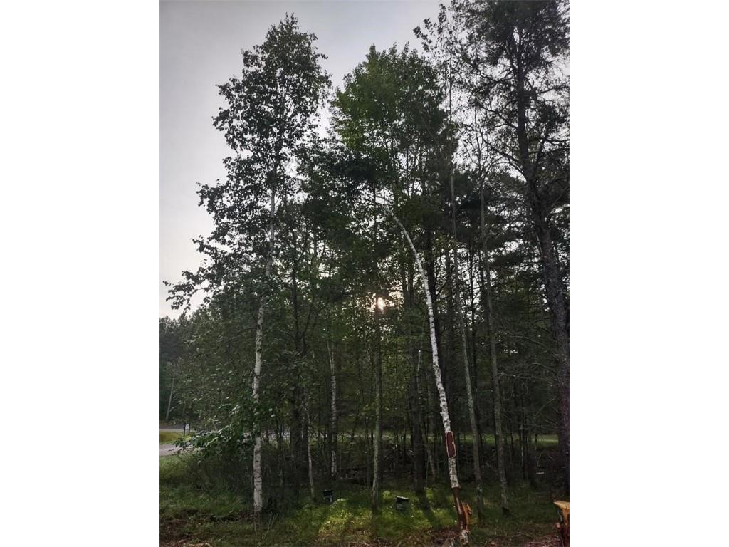 TBD Lynx Road Barnes WI 54837 1596193 image3