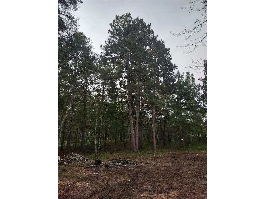 TBD Lynx Road Barnes WI 54837 1596193 image4