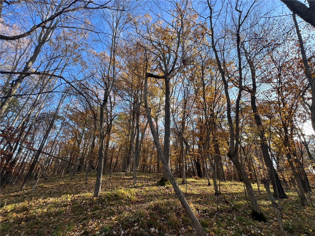 TBD Marl Road Spooner WI 54801 - Rice Lake 1596600 image17