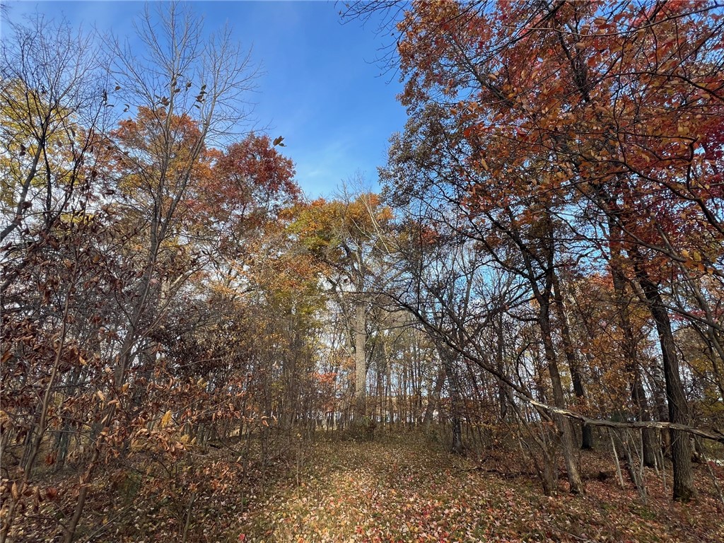 TBD Marl Road Spooner WI 54801 - Rice Lake 1596600 image6