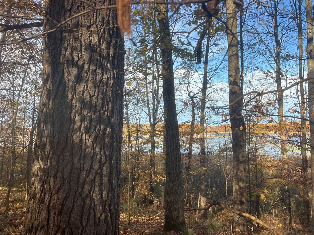 TBD Marl Road Spooner WI 54801 - Rice Lake 1596600 image8