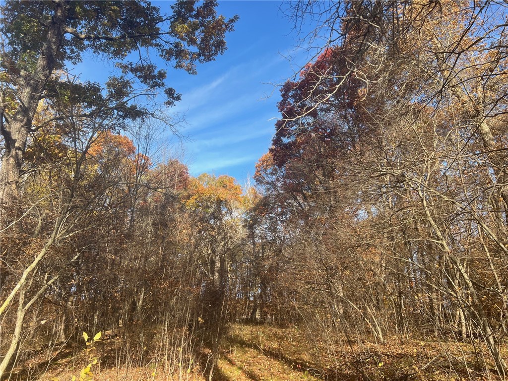TBD Marl Road Spooner WI 54801 - Rice Lake 1596600 image9