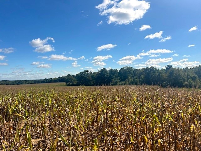 TBD N 12/27 Highway Black River Falls WI 54615 1596056 image10