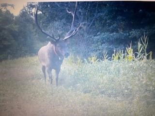 TBD N 12/27 Highway Black River Falls WI 54615 1596056 image13