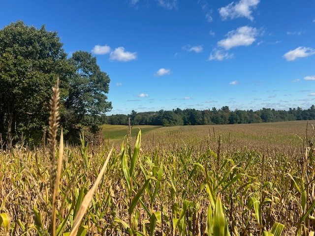 TBD N 12/27 Highway Black River Falls WI 54615 1596056 image15