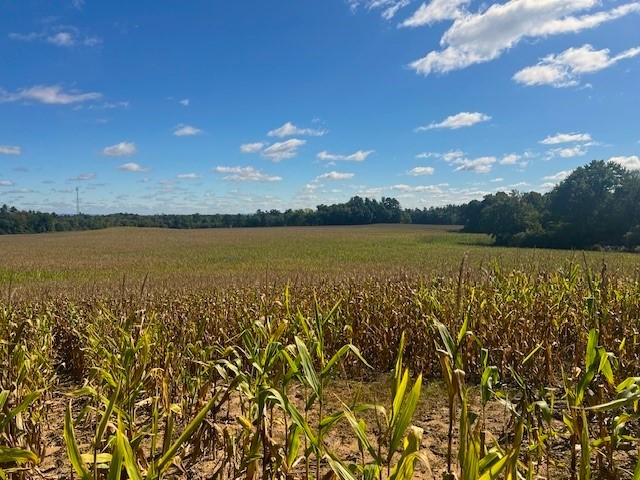 TBD N 12/27 Highway Black River Falls WI 54615 1596056 image17