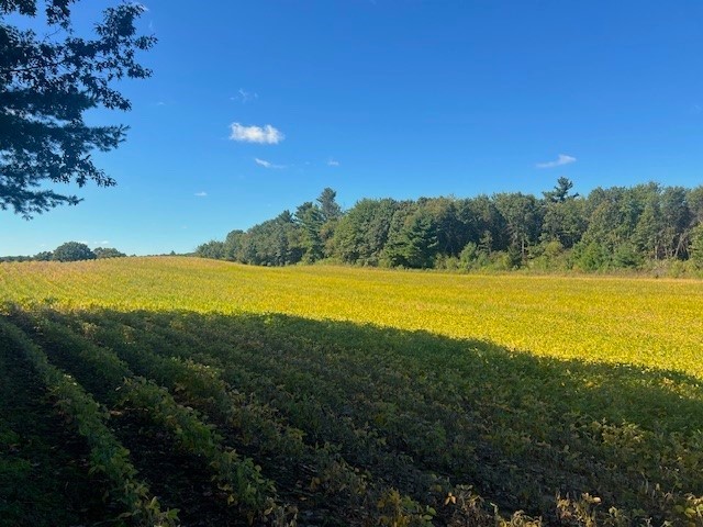 TBD N 12/27 Highway Black River Falls WI 54615 1596056 image18